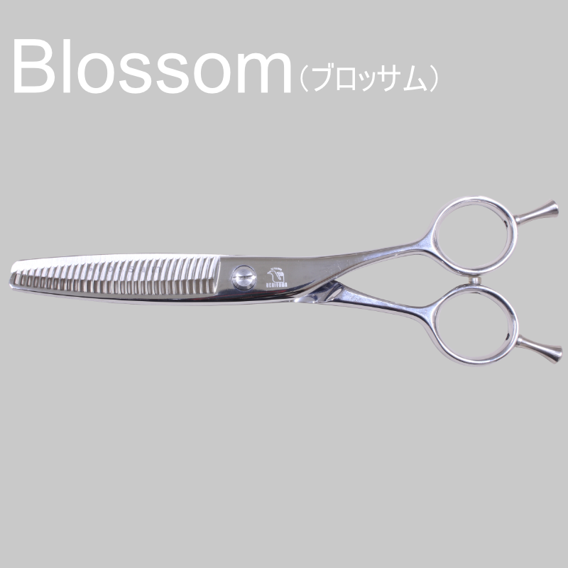 Blossom[ブロッサム]
